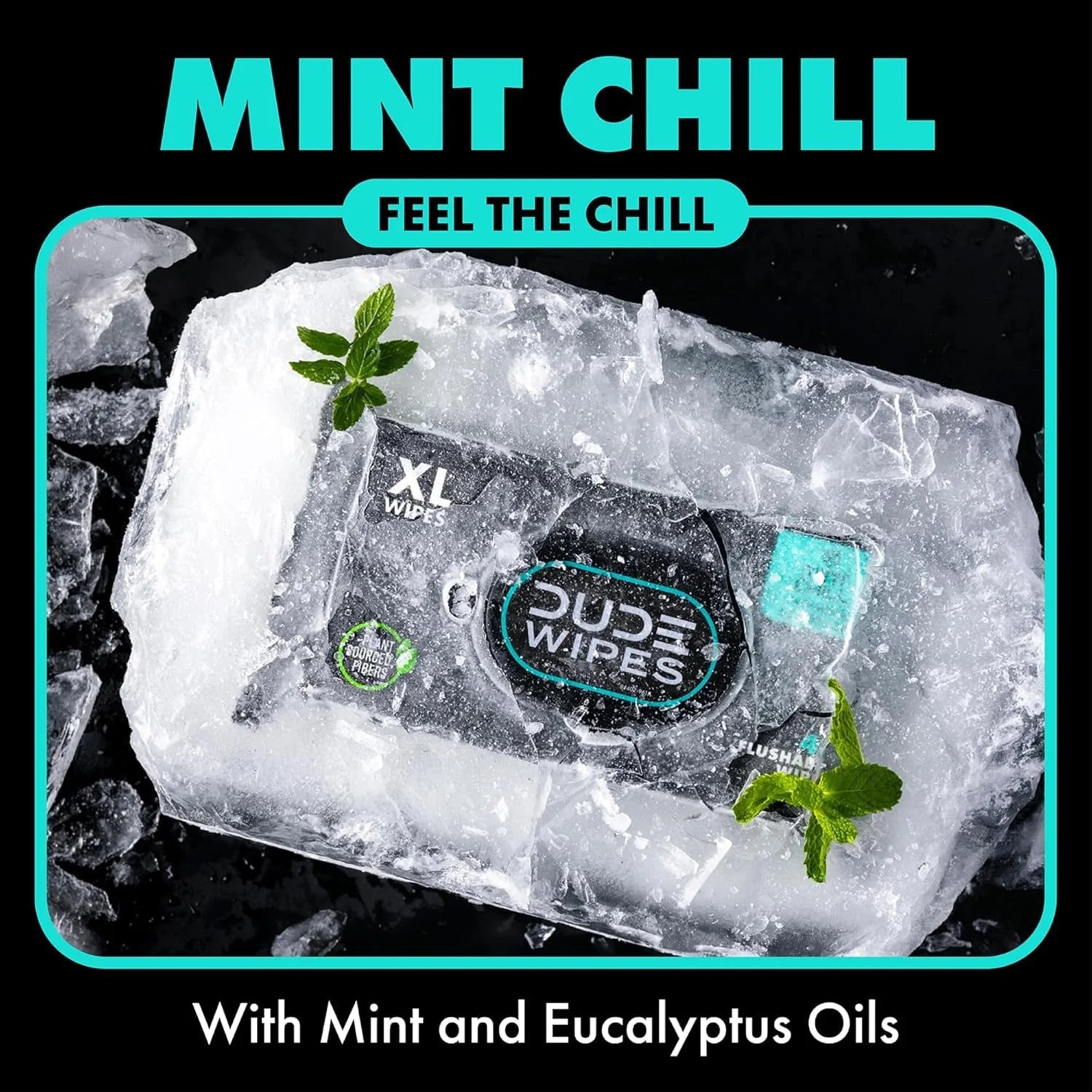 DUDE Wipes Mint Chill Adult Flushable Wet Wipes, Refreshing, 288 Count