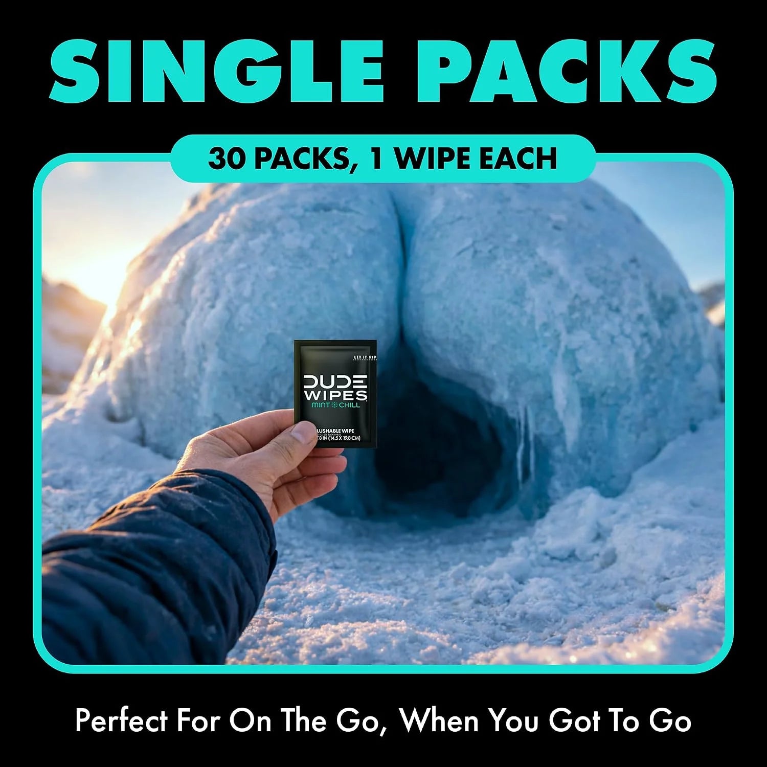 DUDE Wipes On-The-Go Mint Chill Adult Flushable Travel Wipes, 30 Count